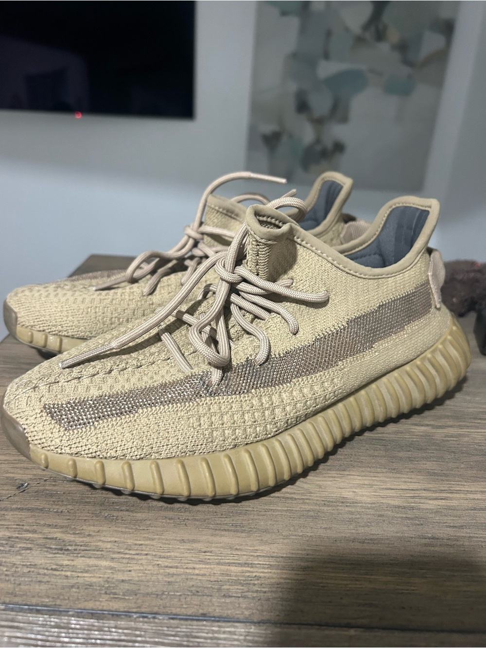 Adidas Yeezy Boost 350 V2 Earth